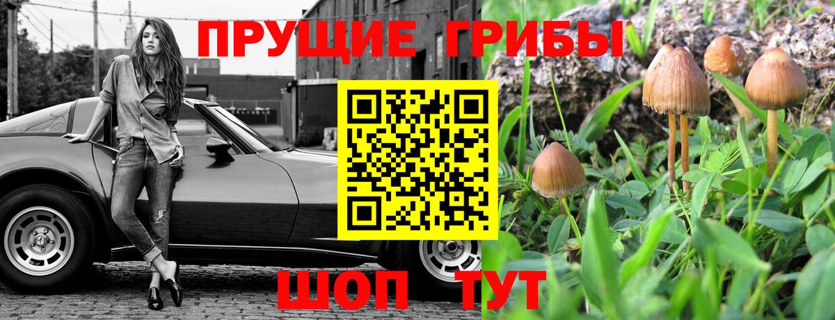 Галлюциногенные грибы Cubensis  Вход с VPN  Лыткарино 